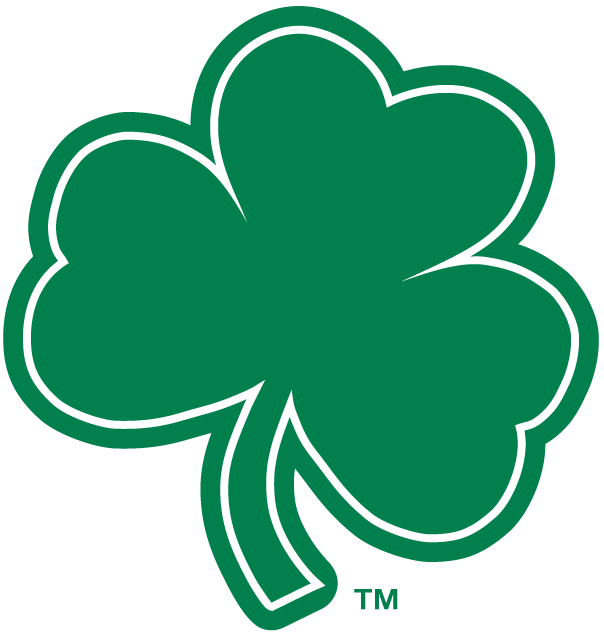Notre Dame Fighting Irish 1994-Pres Alternate Logo v7 diy iron on heat transfer
